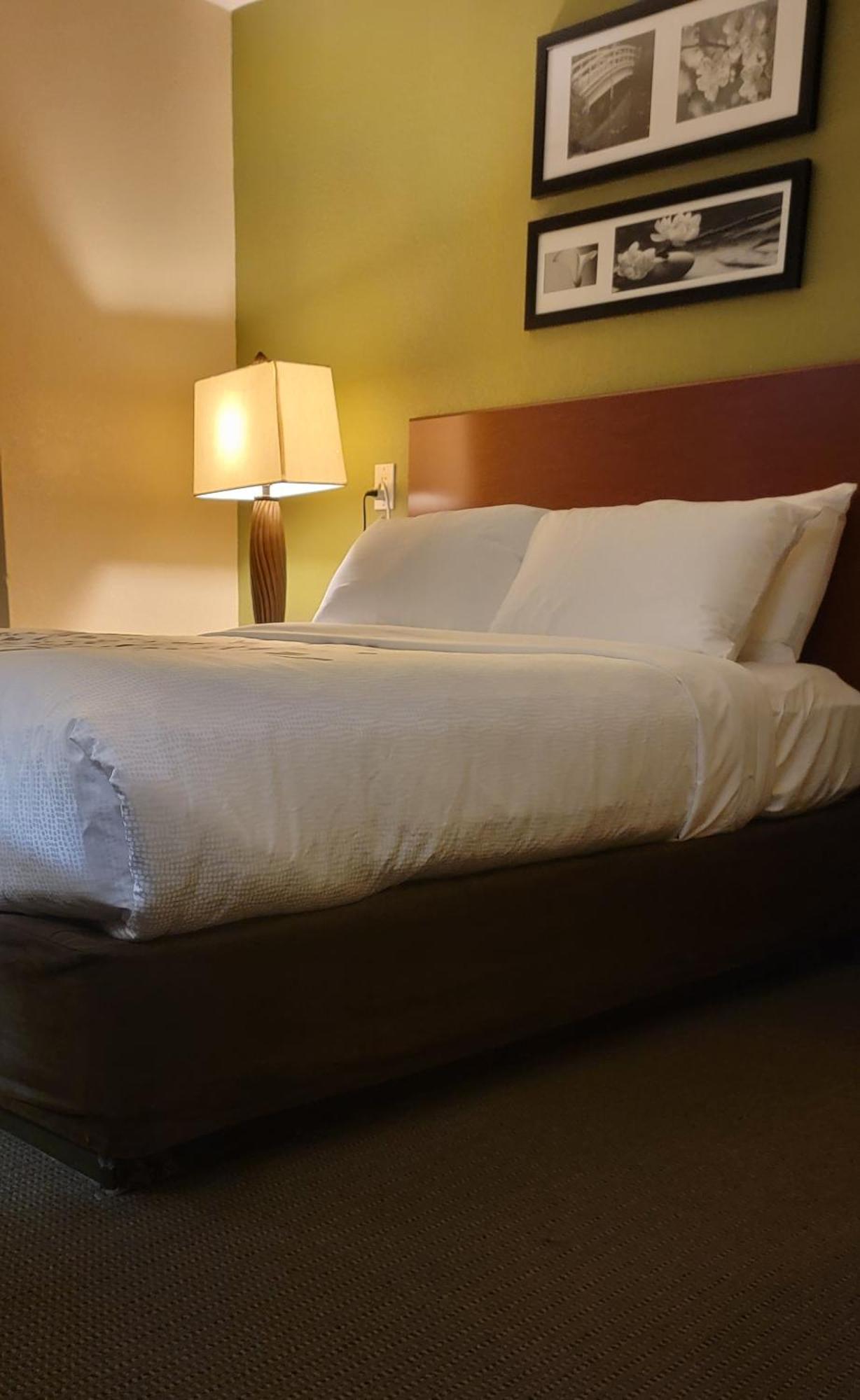 Sleep Inn Near Ft Jackson Columbia Dış mekan fotoğraf
